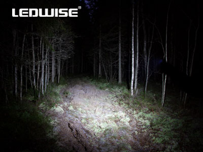 LEDWISE Otsavalaisinsarja