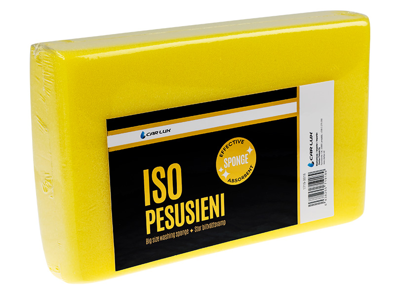 CAR LUX Pesusieni iso
