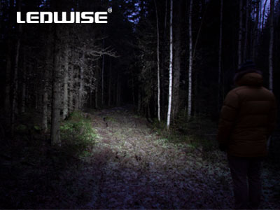 LEDWISE Otsavalaisinsarja